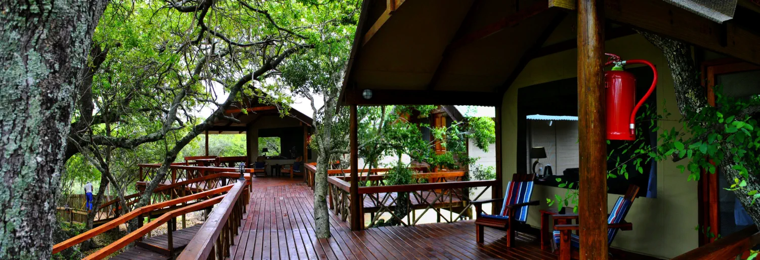 Lion Tree Top Lodge Accommodation near Orpen Gate