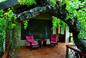 Lion Tree Top Lodge Luxury Accommodation near Orpen Gate KNP
