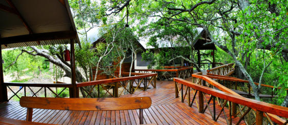 Lion Tree Top Lodge Luxury Self-Catering Tents
