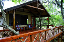 Luxury Accommodation at Lion Tree Top Lodge near Orpen Gate KNP