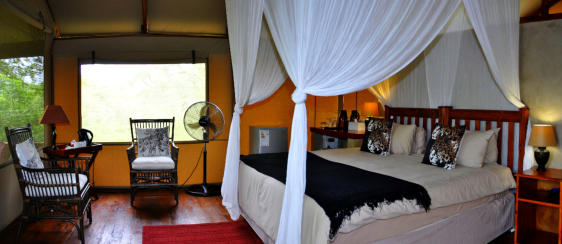 Luxury Self-Catering Tents at Lion Tree Top Lodge