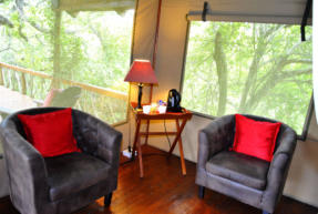 Luxury Tent at Lion Tree Top Lodge